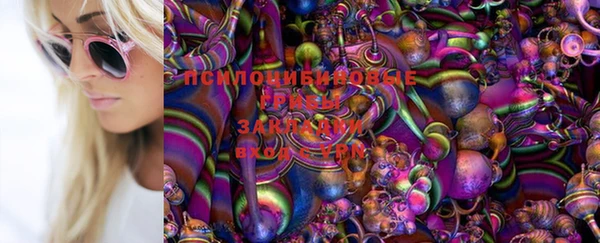 амф Киренск