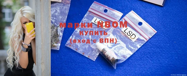 хмурый Богородицк