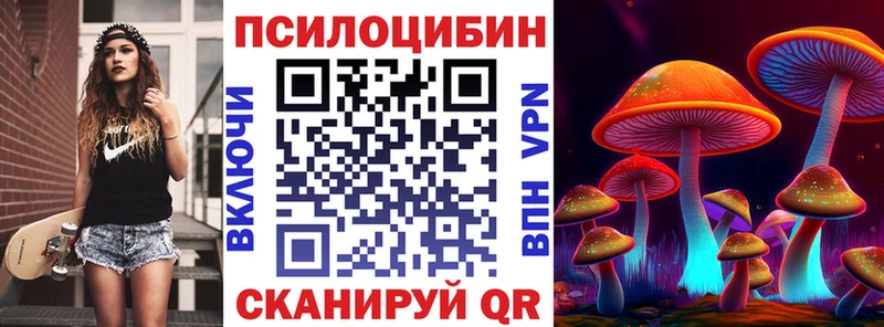 даркнет клад  Салаир  Галлюциногенные грибы MAGIC MUSHROOMS 